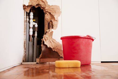 Water in the Basement: What to Do in the First 48 Hours